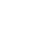 German Diagnostik